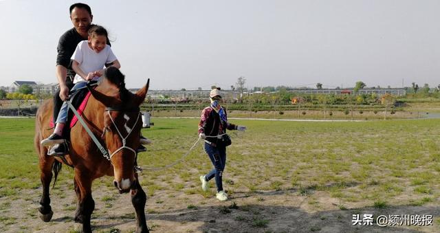 五一期间,在阜阳能玩什么?